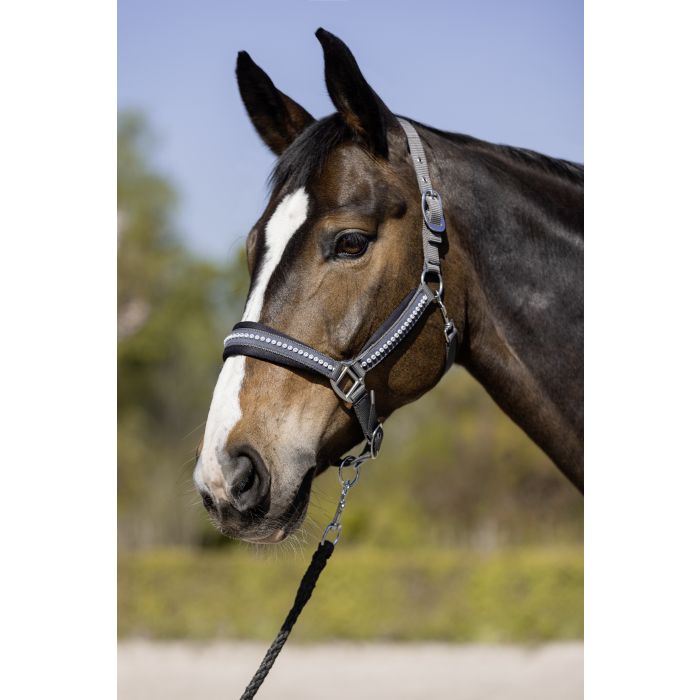 Kantar HKM Berry z kryształkami - Cavalo